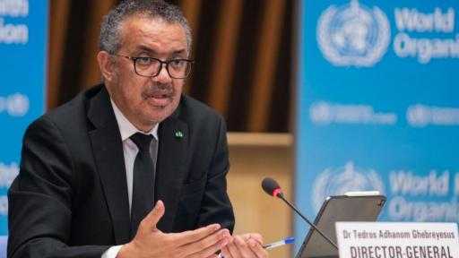 «الصحة العالمية»: مستوى التهديد لفيروس هانتا مازال منخفضا
