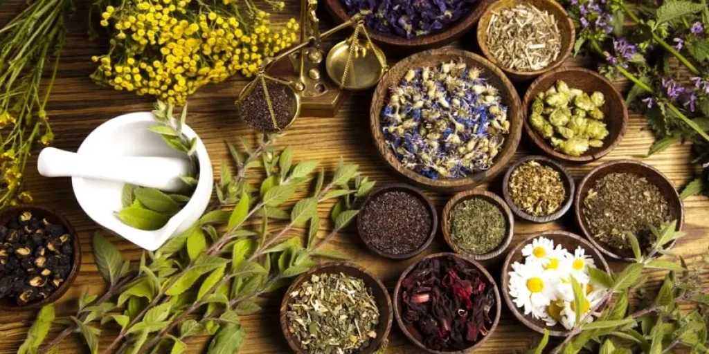 تعرف على فوائد تناول البابونج