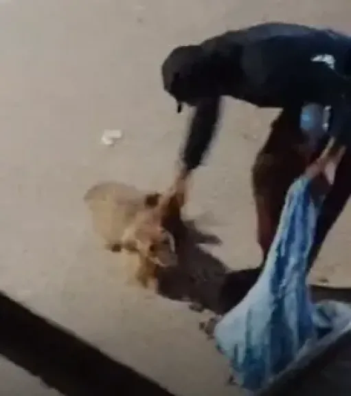 المتهم 