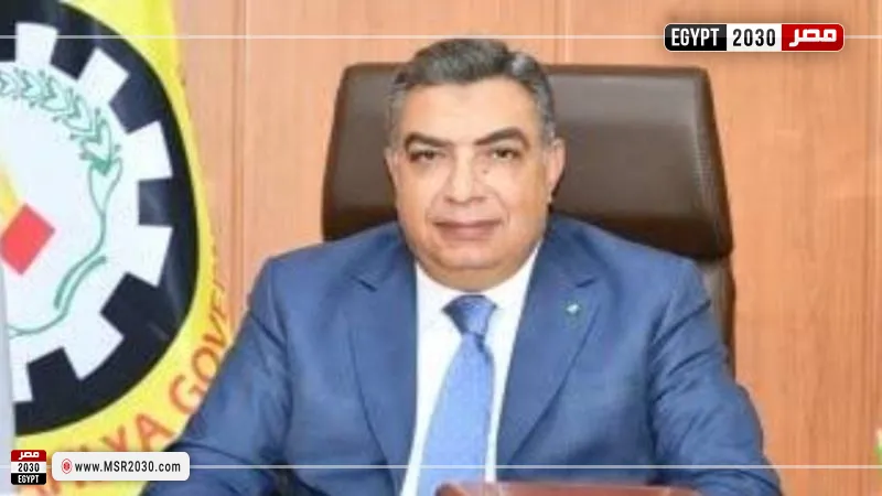محافظ الدقهلية