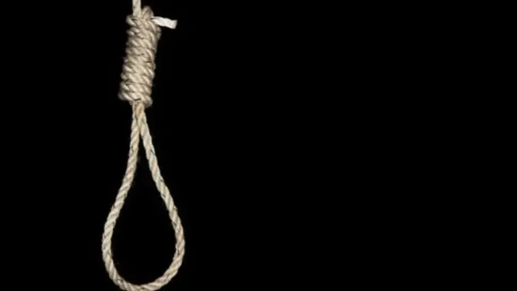 إحالة قاتل زوجته للمفتي 