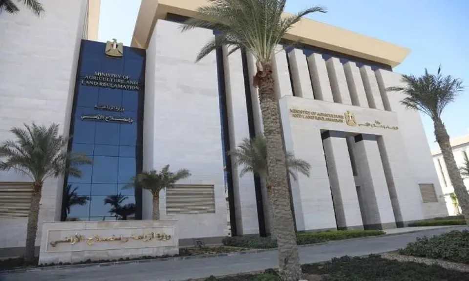 «الزراعة» تعلن قفزة في توريد القمح المحلي: الوصول إلى أكثر من 3.2 مليون طن حتى الآن