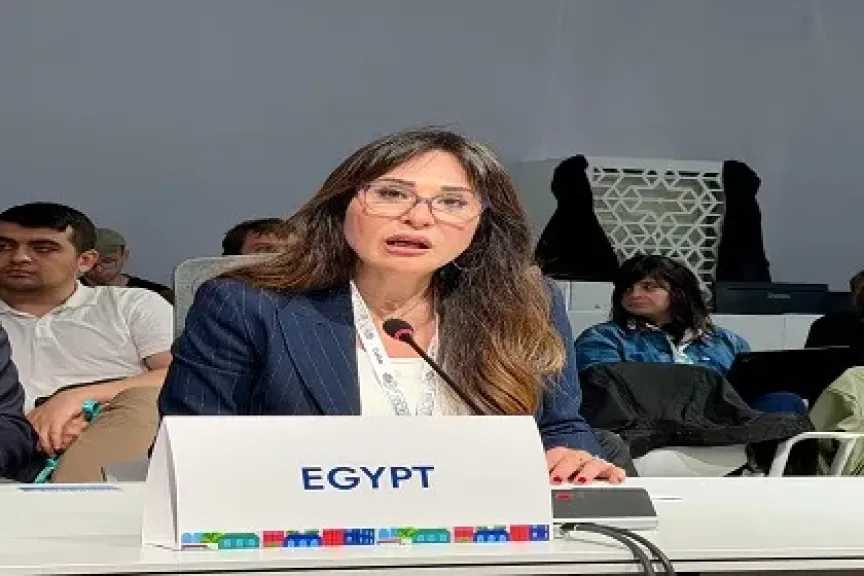 وزيرة الإسكان تلقي كلمة مصر في الاجتماع الوزاري بشأن الخطة الحضرية الجديدة