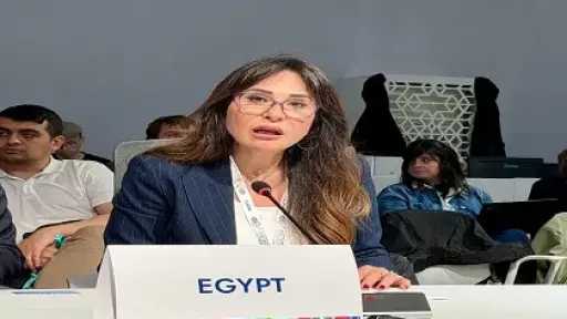 وزيرة الإسكان تلقي كلمة مصر في الاجتماع الوزاري... وزيرة الإسكان تلقي كلمة مصر في الاجتماع الوزاري بشأن الخطة الحضرية الجديدة