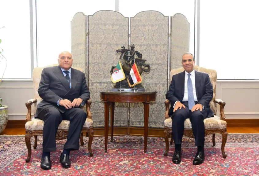 وزير الخارجية ونظيره الجزائري