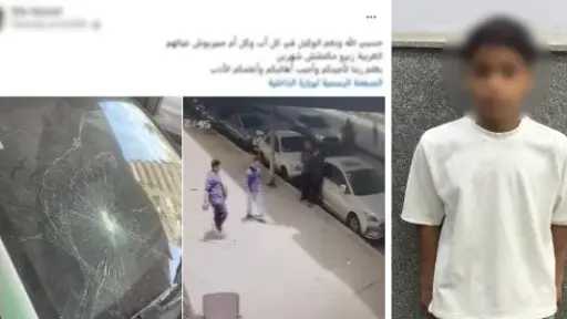 الداخلية تكشف ملابسات فيديو إتلاف زجاج سيارة بالزيتون.. وضبط طفل مرتكب الواقعة