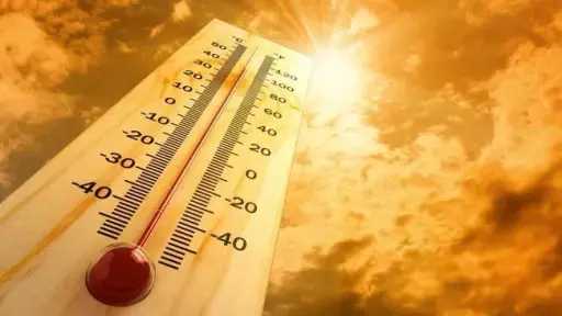 حالة الطقس في مصر ودرجات الحرارة اليوم الجمعة