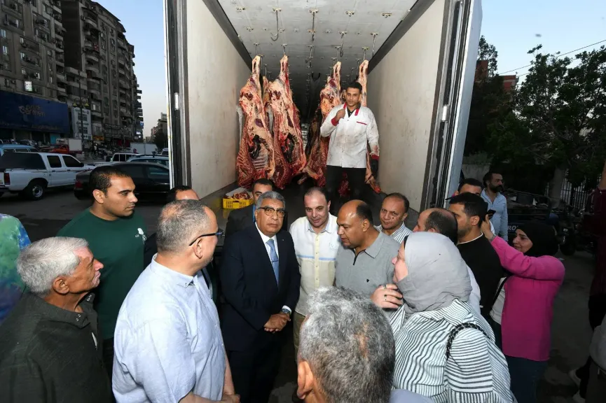 محافظ الدقهلية 
