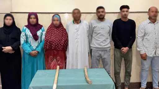 مشاجرة بالعصي والحجارة بسبب قطعة أرض زراعية.. الداخلية تكشف تفاصيل واقعة دمنهور في البحيرة