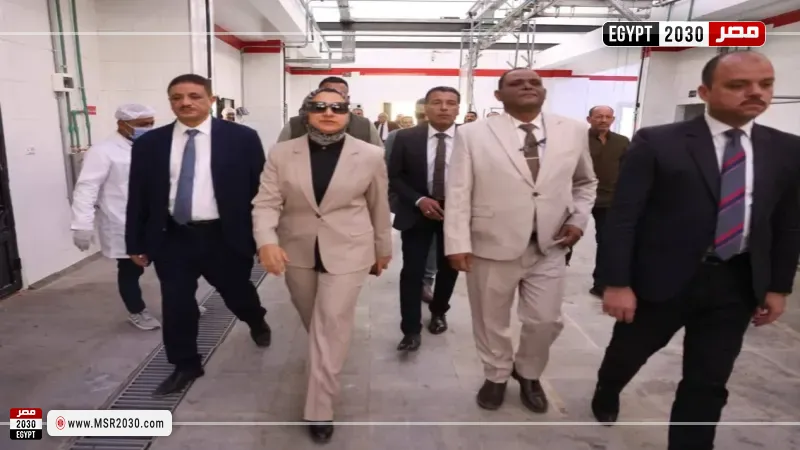 محافظ الوادي الجديد
