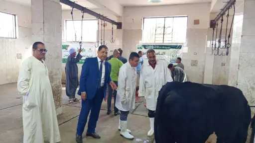 بيطرى الأقصر: ذبح 180 عجلًا بالمجازر وتوزيعها على... بيطرى الأقصر: ذبح 180 عجلًا بالمجازر وتوزيعها على 36 ألف أسرة مستحقة خلال عيد الأضحى