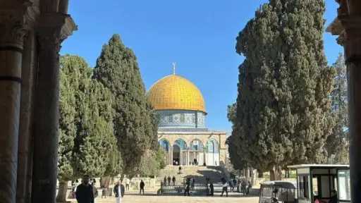 قاضي قضاة فلسطين يحذر من عواقب استمرار انتهاكات المستعمرين لقدسية المسجد الأقصى