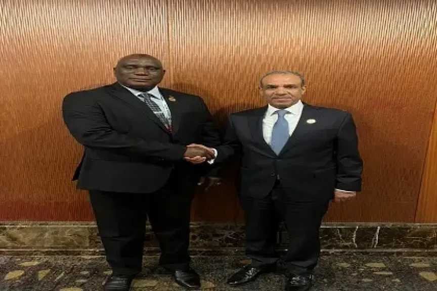 وزير الخارجية يلتقي نظيره الجامبي على هامش الإجتماع الوزاري الكوري الأفريقي
