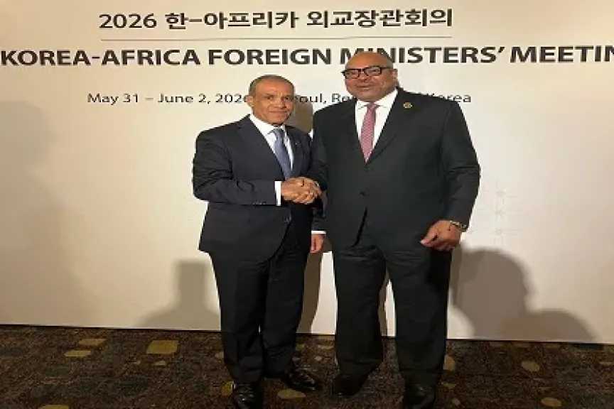 وزير الخارجية يلتقي نظيره التنزاني على هامش الاجتماع الوزاري الكوري الأفريقي