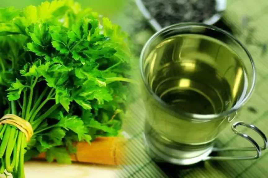 ماذا يحدث لجسمك عند تناول البقدونس