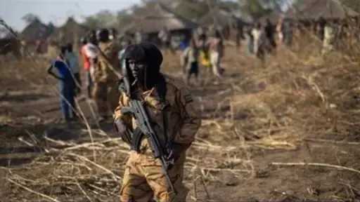 14 قتيلا على الأقل خلال سرقة ماشية بجنوب... 14 قتيلا على الأقل خلال سرقة ماشية بجنوب السودان