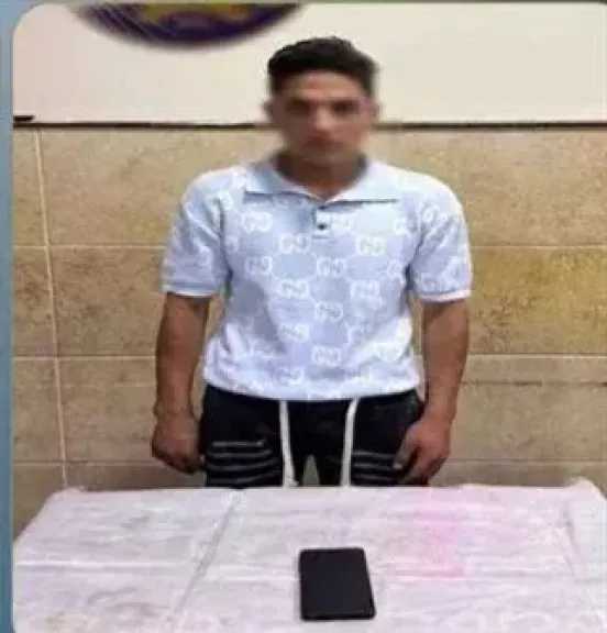 حبس عامل متهم بسرقة هاتف محمول من سيدة في البحيرة