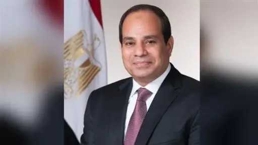 الرئيس السيسي يستعرض الموقف التنفيذي لمشروع تطوير مدينة النيل الطبية