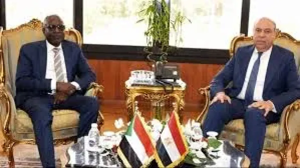 مصر 2030