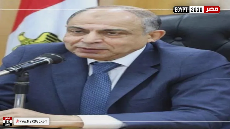 محافظ المنيا