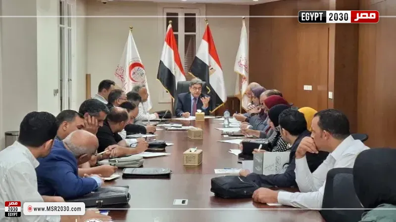 مصر 2030