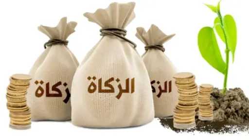 بدلًا من النقود.. ما حكم إخراج الزكاة في... بدلًا من النقود.. ما حكم إخراج الزكاة في صورة سلع ومنتجات؟