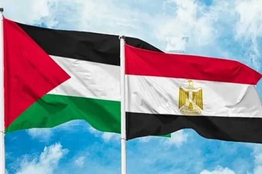 رئيس حزب الريادة: القيادة المصرية تسعى جاهدة لجمع شمل الكلمة الفلسطينية
