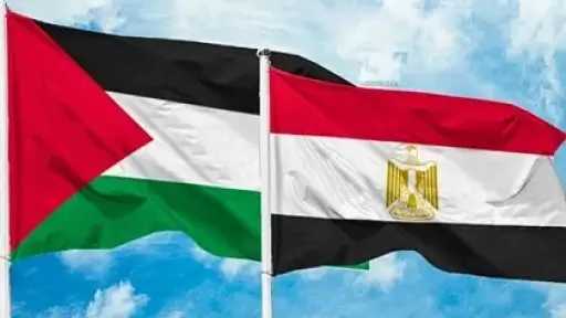 رئيس حزب الريادة: القيادة المصرية تسعى جاهدة لجمع شمل الكلمة الفلسطينية
