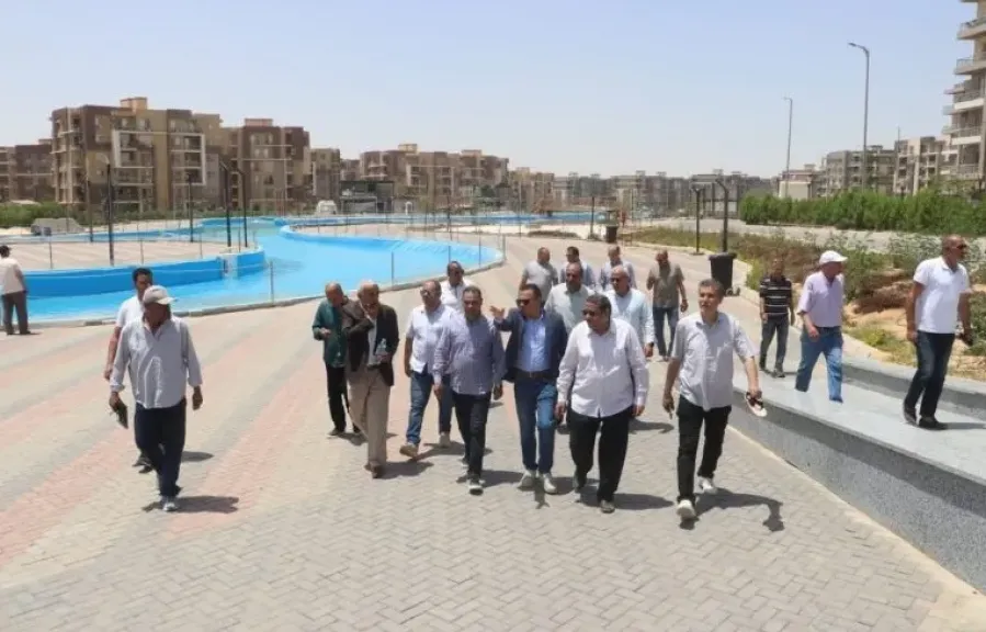 المشروعات السكنية 