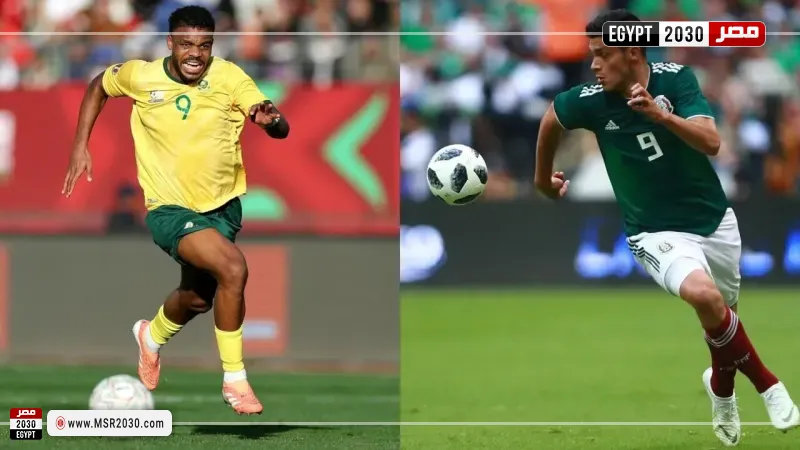 المكسيك وجنوب إفريقيا
