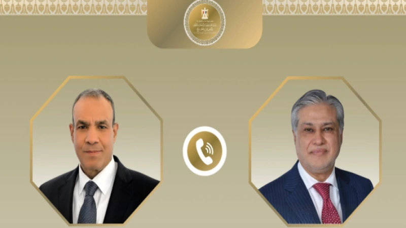 وزير الخارجية ونظيره الباكستاني