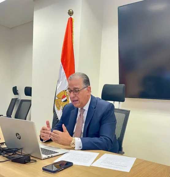 نائب وزير الخارجية يعقد اجتماعا افتراضيا مع المستثمرين المصريين بالخارج