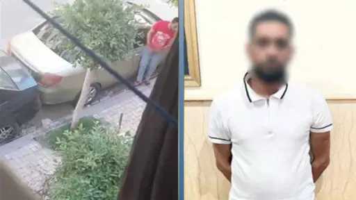 ضبط عاطل لقيامه بأفعال خادشة للحياء في الشارع... ضبط عاطل لقيامه بأفعال خادشة للحياء في الشارع بالإسكندرية