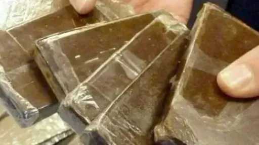حبس عاطل لاتهامه بحيازة قطع من مخدر الحشيش... حبس عاطل لاتهامه بحيازة قطع من مخدر الحشيش بقصد الاتجار فى الجيزة