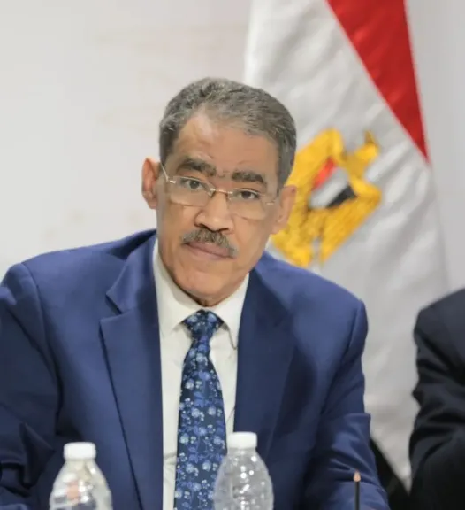 ضياء رشوان