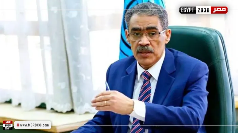 ضياء رشوانا