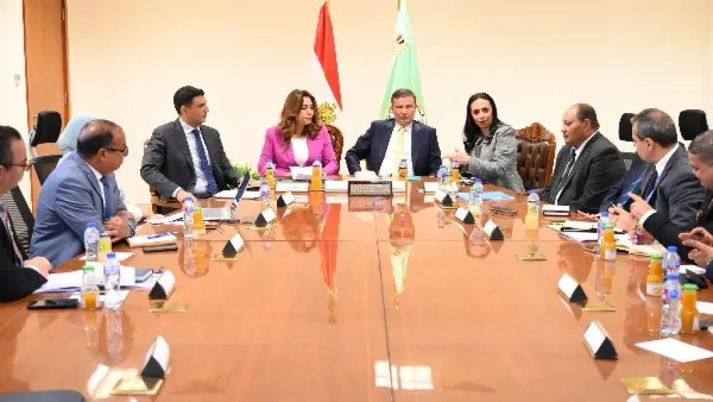 التضامن الاجتماعي