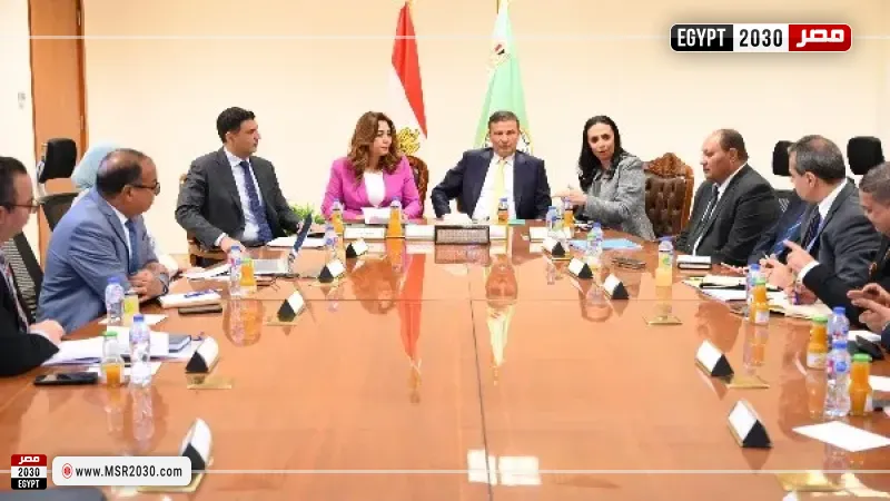 التضامن الاجتماعي