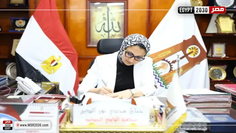 محافظ الوادي الجديد
