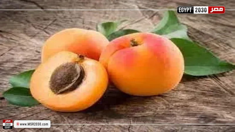 المشمش 