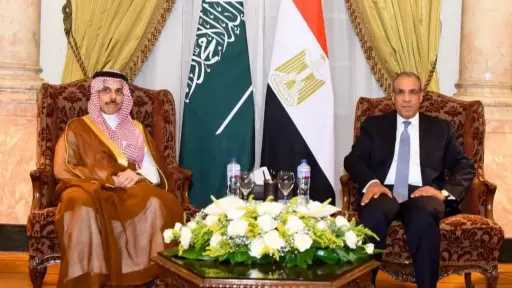 وزير الخارجية يبحث مع نظيره السعودي سبل دعم وتطوير العلاقات الثنائية