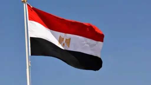 عضوة بالبرلمان الهولندي: مصر تبذل جهودا كبيرة لدعم غزة