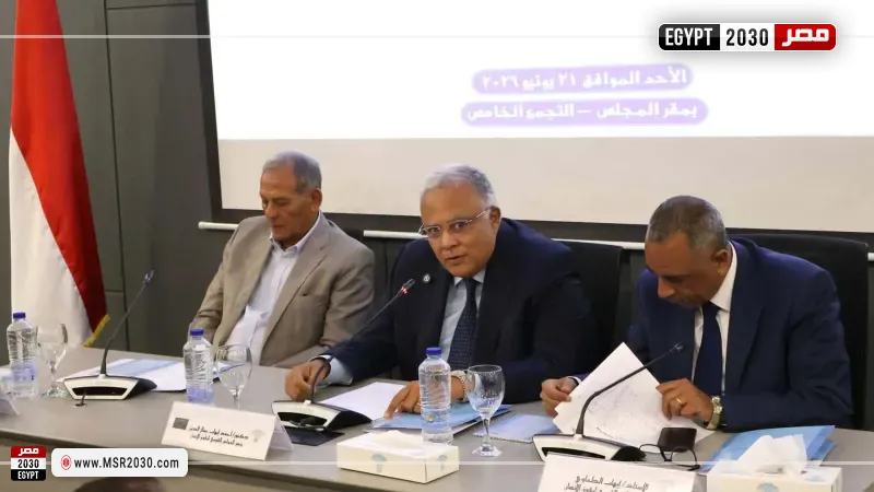 مصر 2030