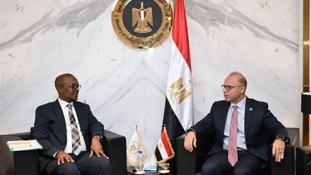 مصر وجنوب أفريقيا تبحثان تعزيز التكامل الاقتصادي والتصنيع المشترك