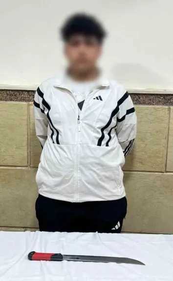 ضبط المتهم بالتعدي على ربة منزل بالإسماعيلية