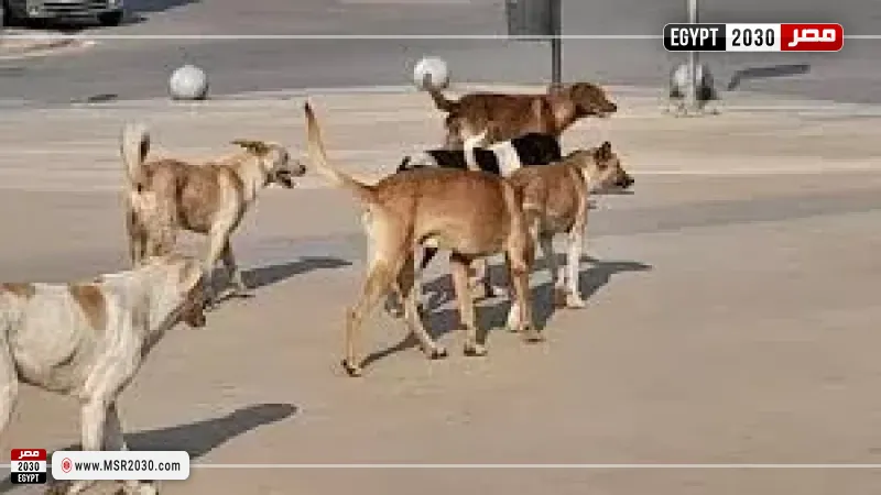 مصر 2030