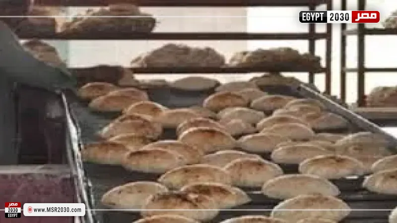 مصر 2030