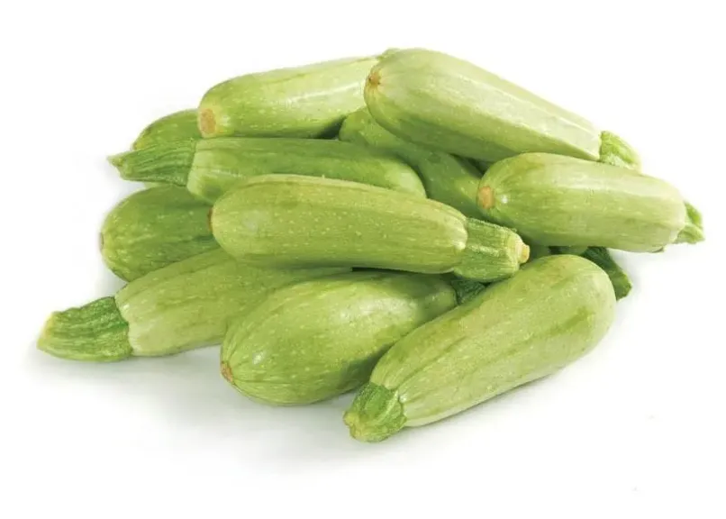 الكوسة 