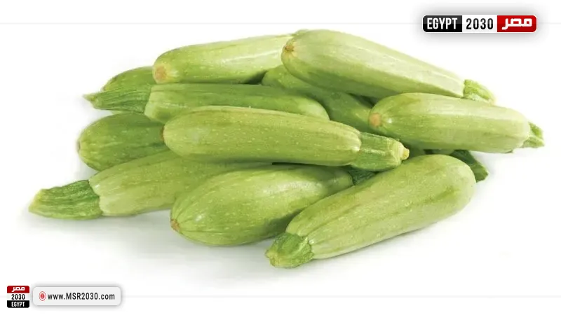 الكوسة 
