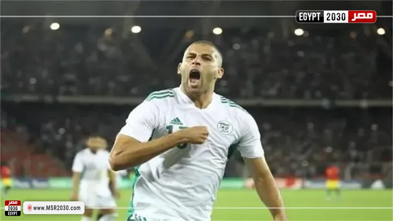 اسلام سليماني